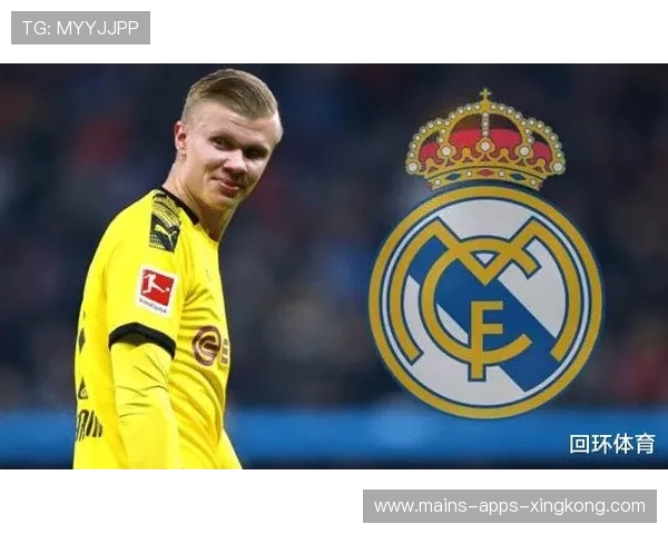 波尔图追哈兰德:九号核心的未来蓝图